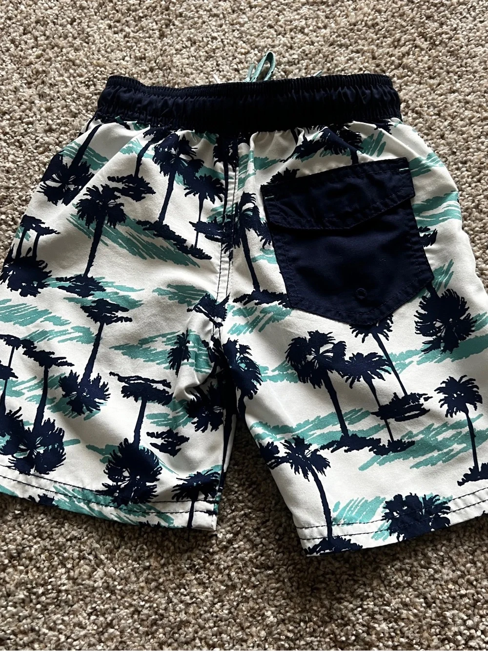Cat & Jack Swim Trunks
